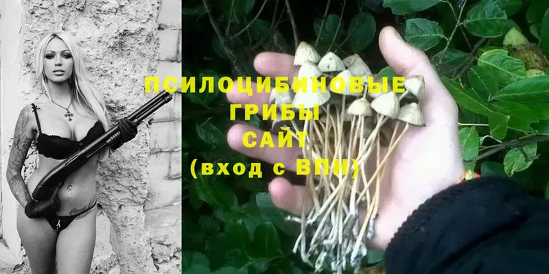 Псилоцибиновые грибы MAGIC MUSHROOMS  Карабаново 